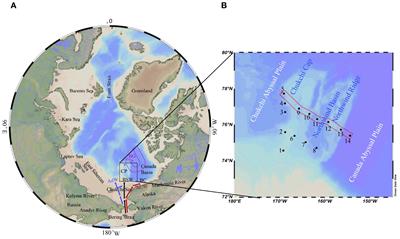 The characteristics of nutrient distribution and influencing factors in the Chukchi Plateau and adjacent waters